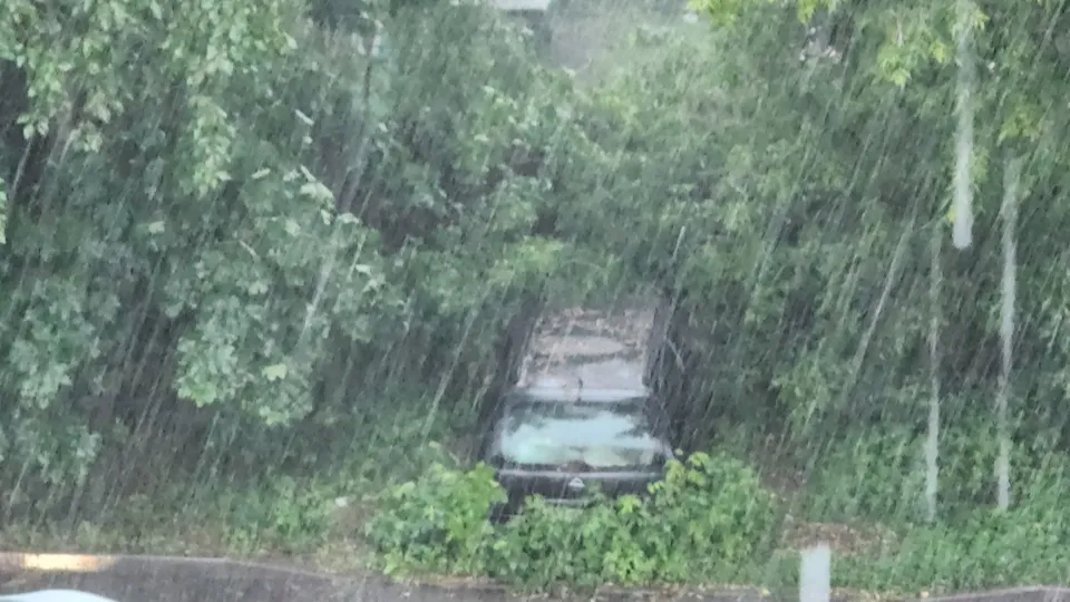 Фото: REGIONS/Наталия Надточая