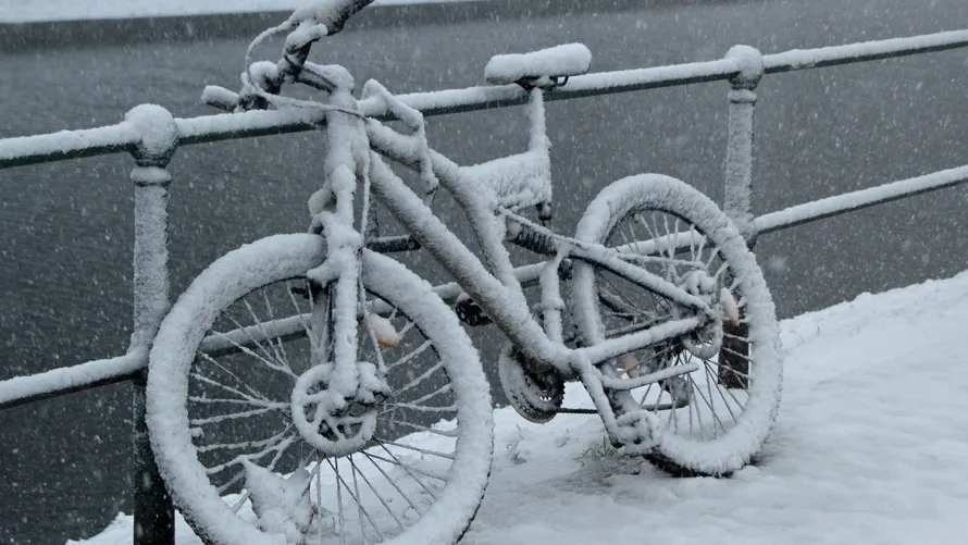 Фото: freepik.com