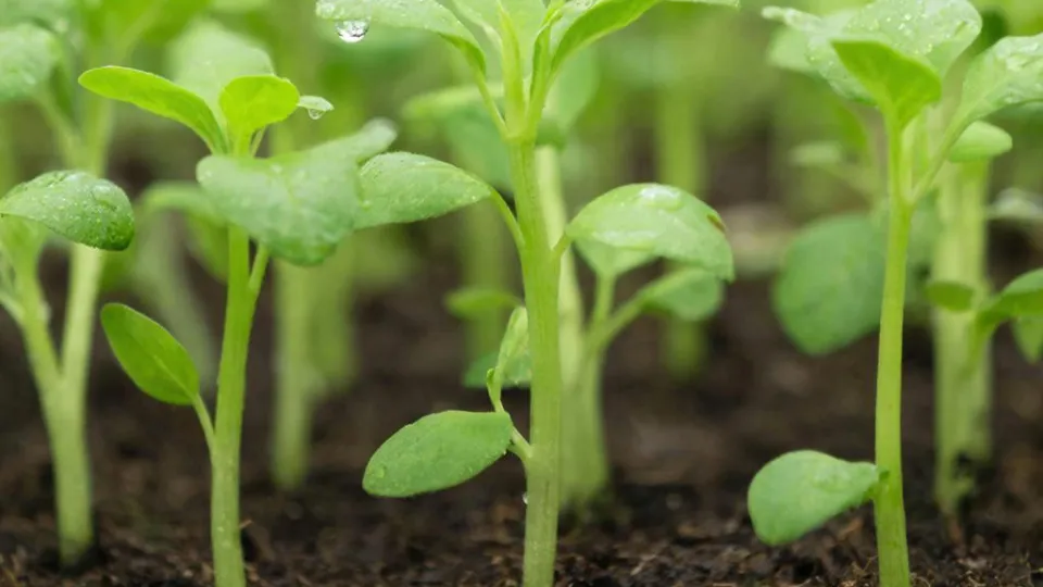 Фото: REGIONS/Сгенерировано нейросетью