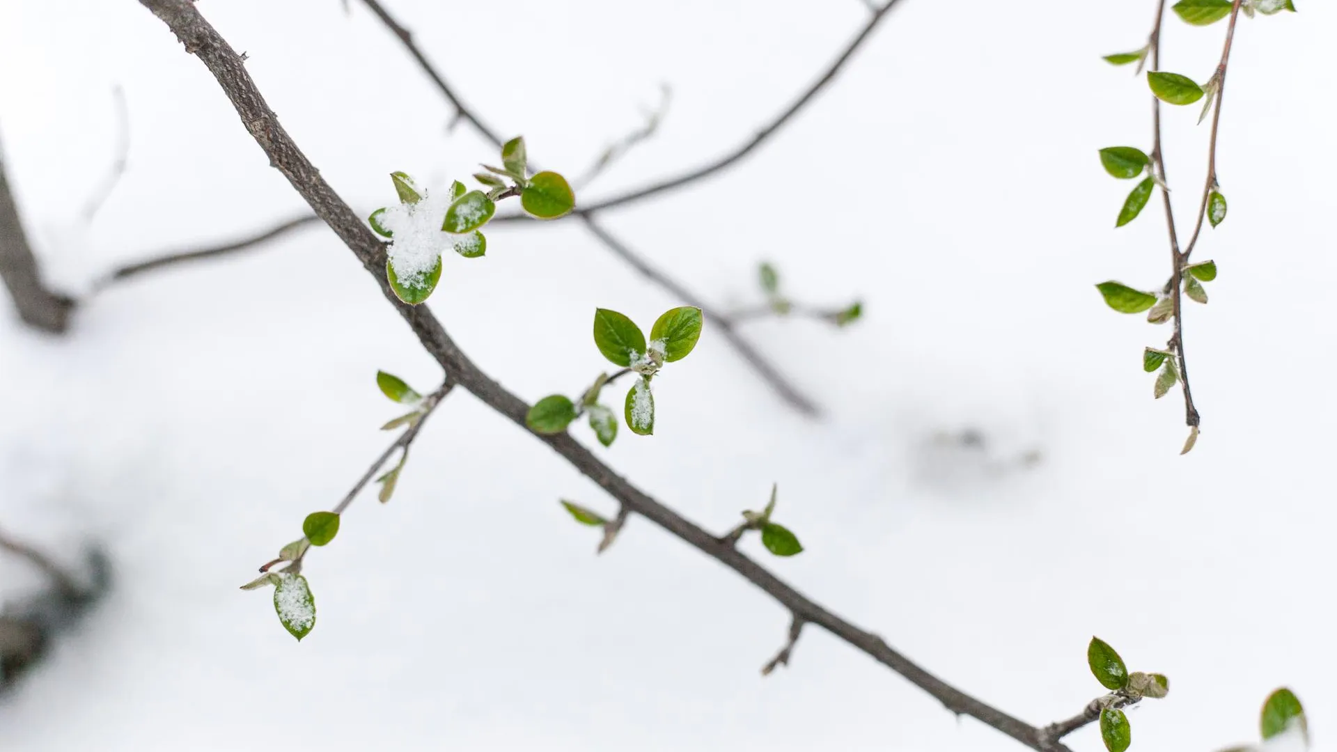 медиасток.рф