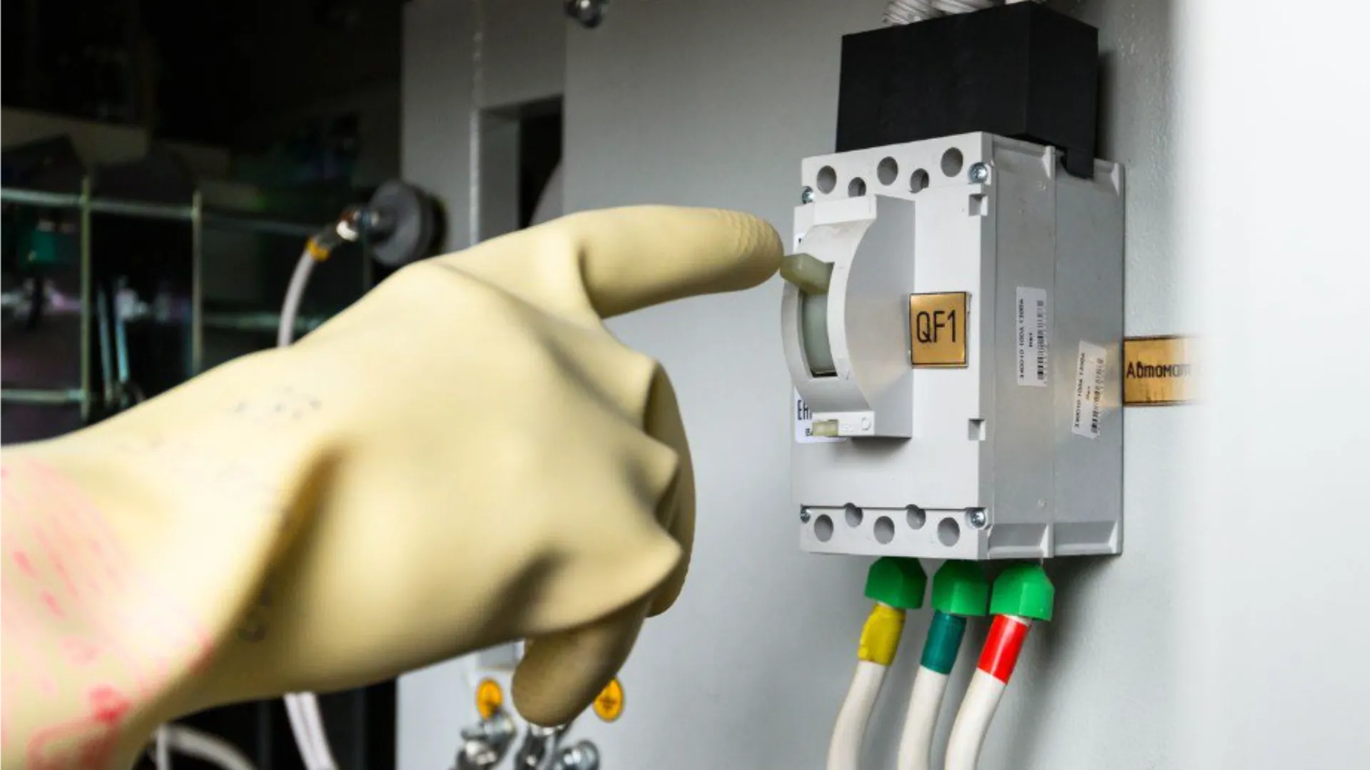 Фото: медиасток.рф