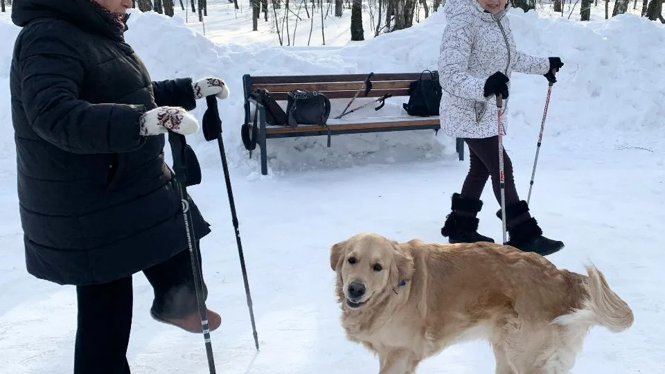 МедиаБанк Подмосковья/Ирина Мальцева