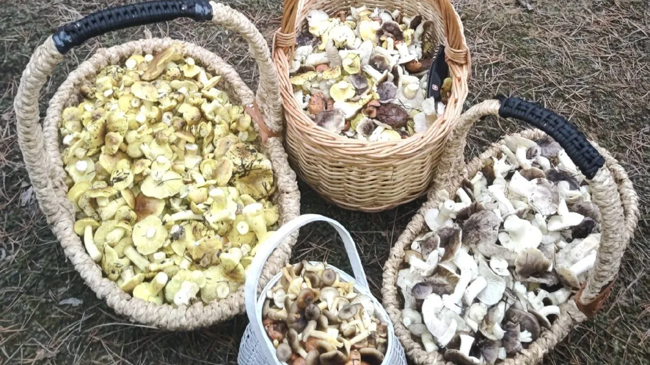 Фото: Татьяна Дадаева