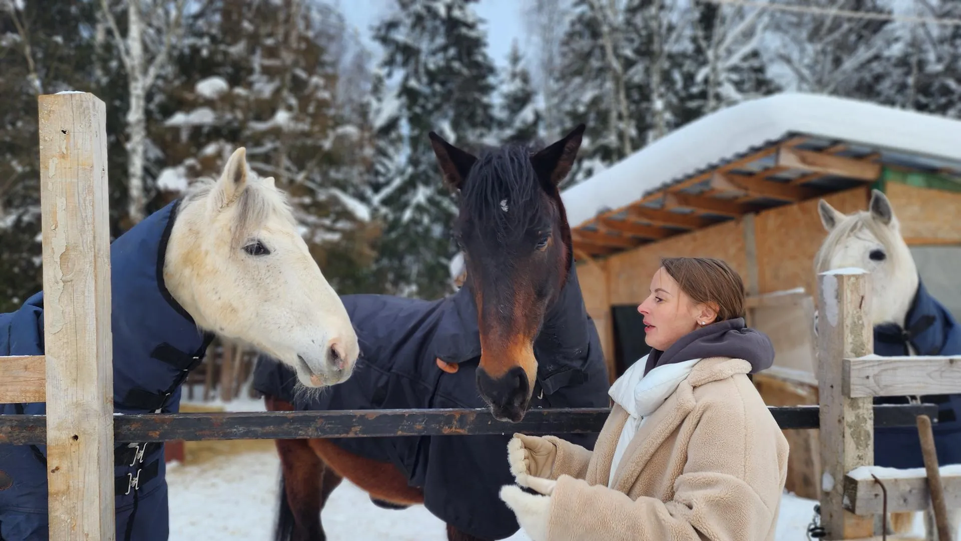 МедиаБанк Подмосковья/Валентина Максимова