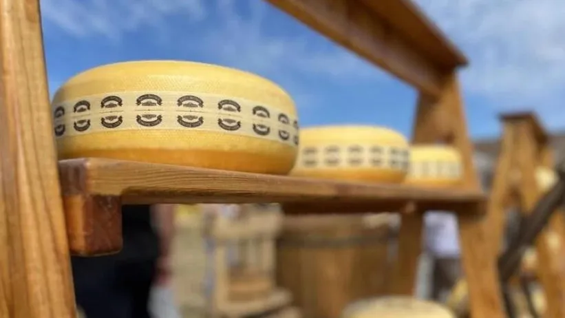 Фото: пресс-служба Министерства сельского хозяйства и продовольствия МО