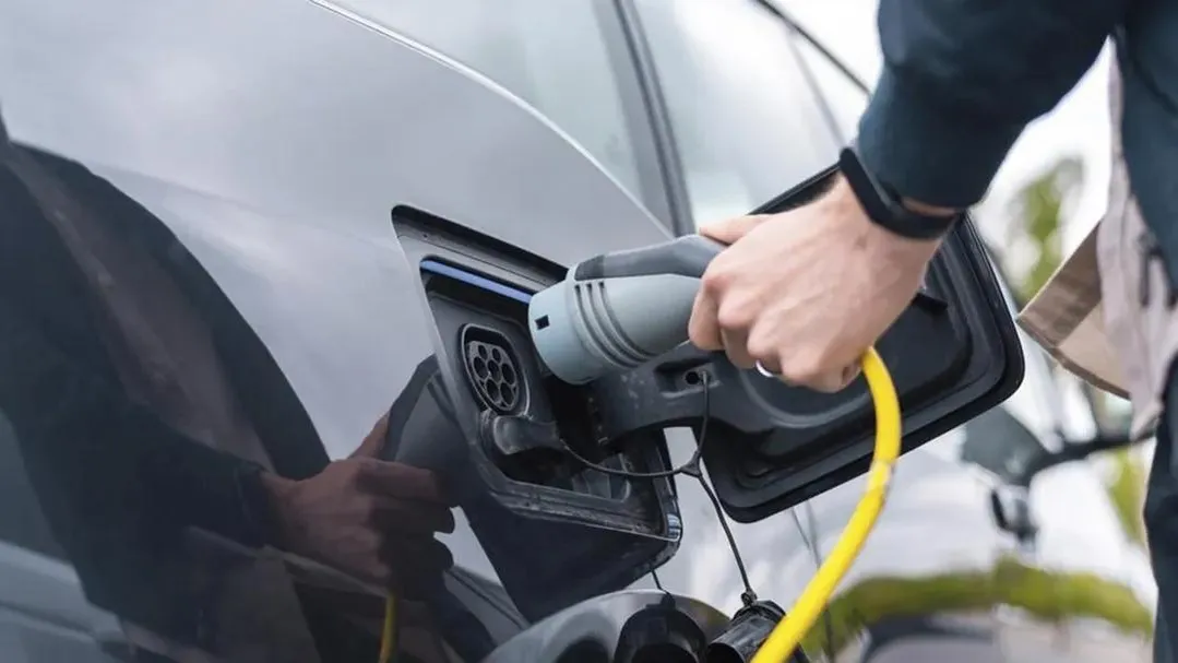 Источник: freepik.com