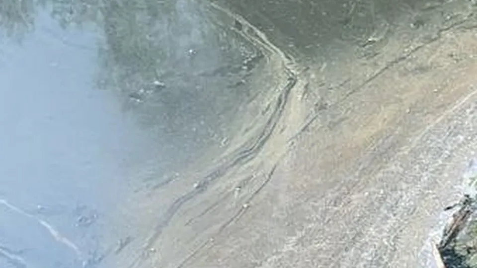 Фото: REGIONS/Наталия Надточая