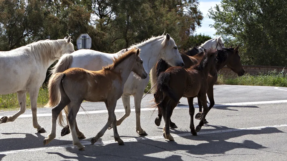 Фото: istockphoto.com