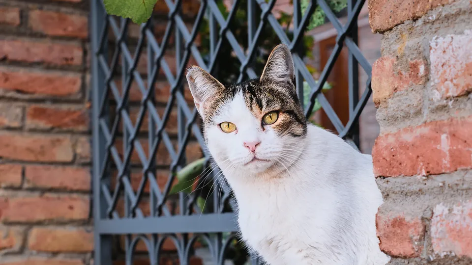 Фото: freepik.com