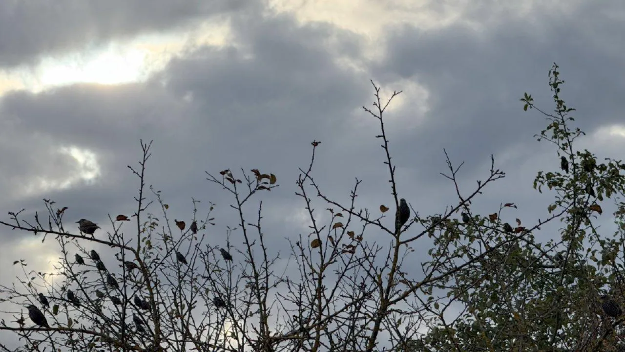 REGIONS/Илья Попов