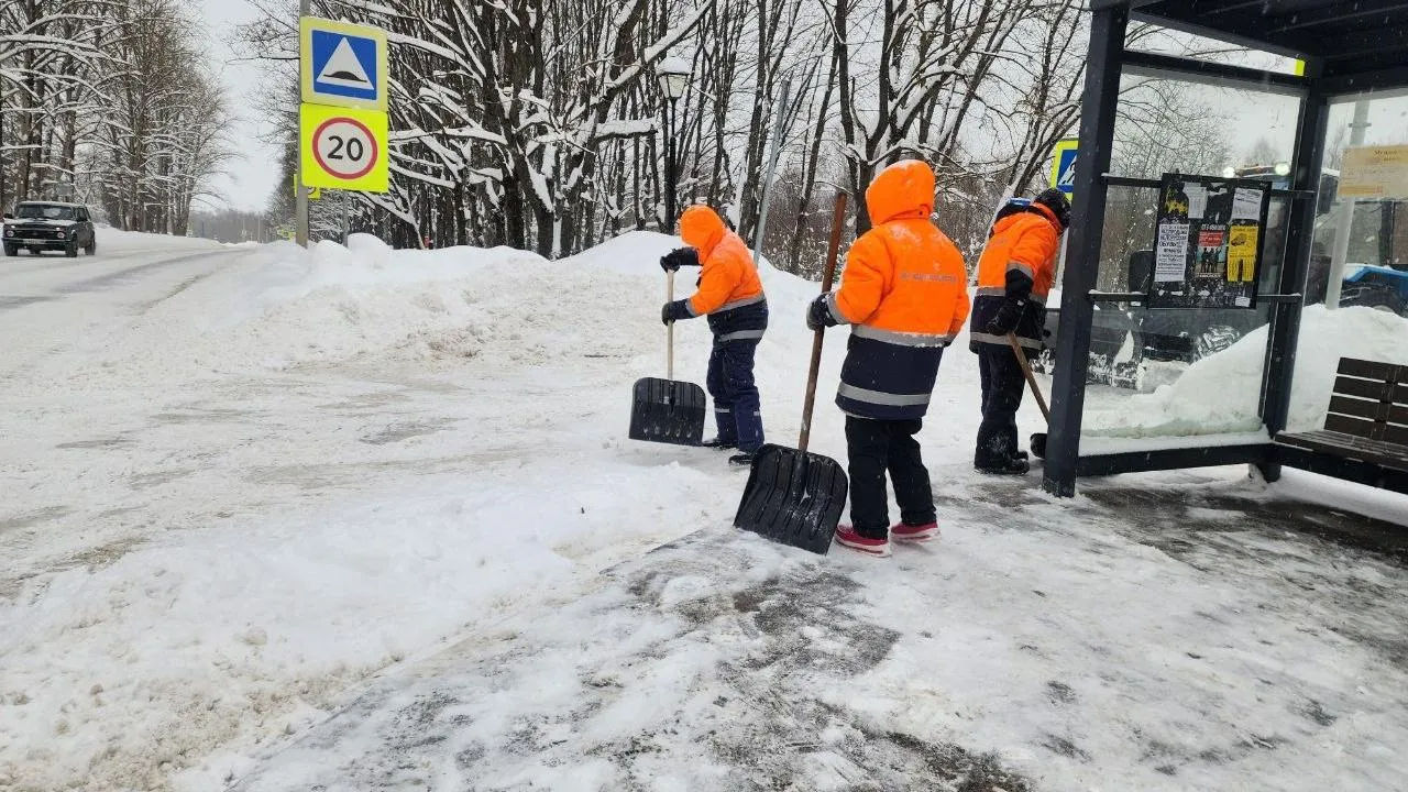 REGIONS/Мария Панина