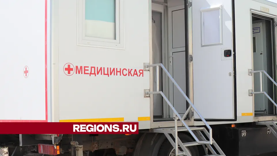 Фото: REGIONS/Василий Тремасов