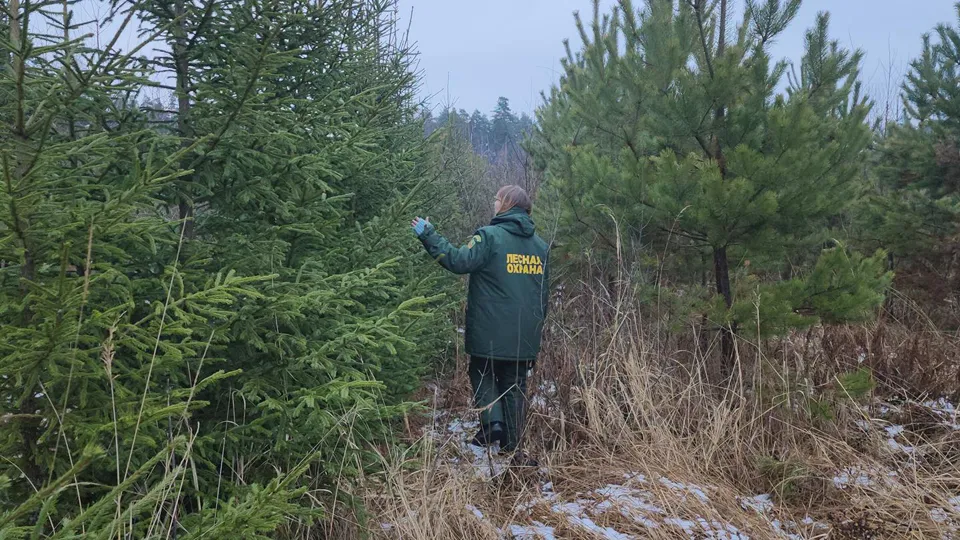 Фото: REGIONS/Роман Кутузов