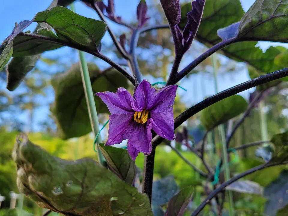 Фото: unsplash.com