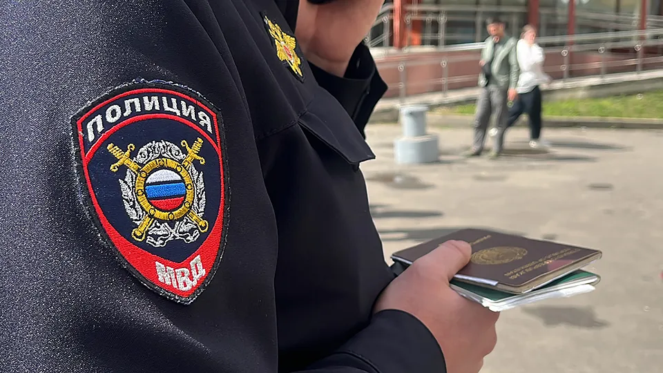 Фото: МедиаБанк Подмосковья/Елизавета Приймак