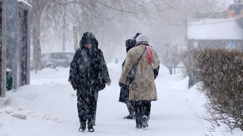 Фото: медиасток.рф