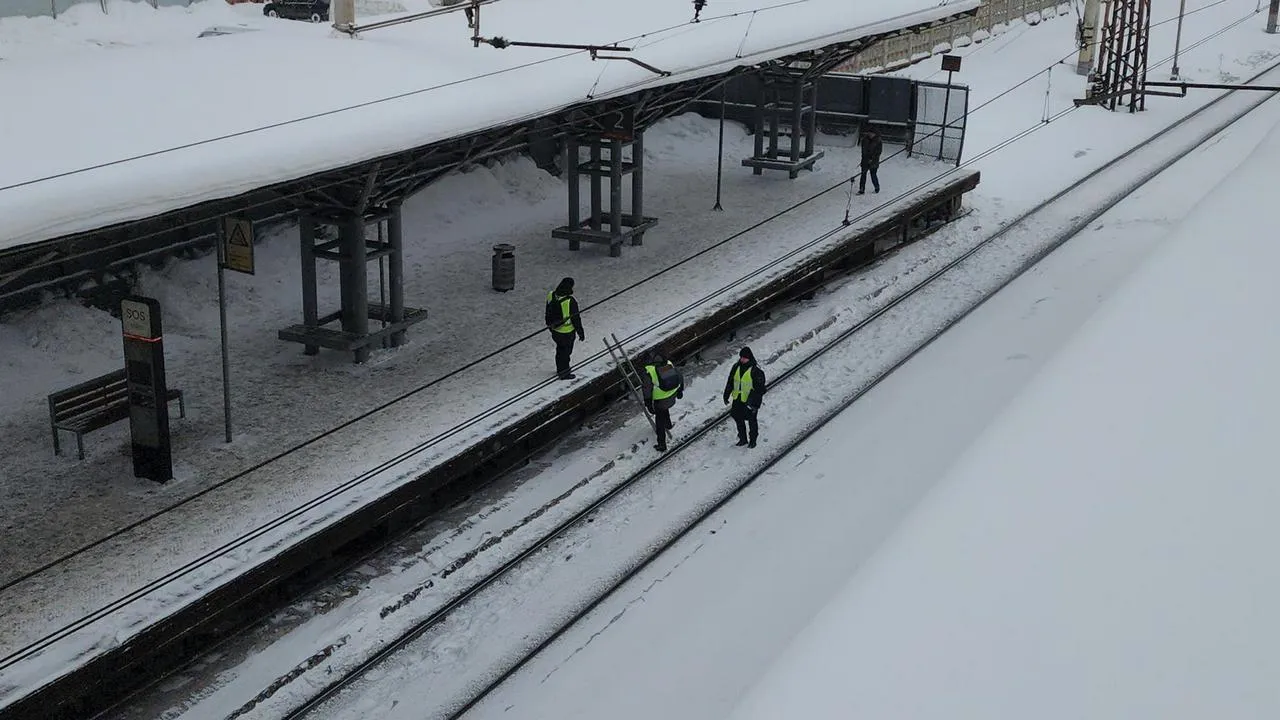 МедиаБанк Подмосковья/Валерия Исаева