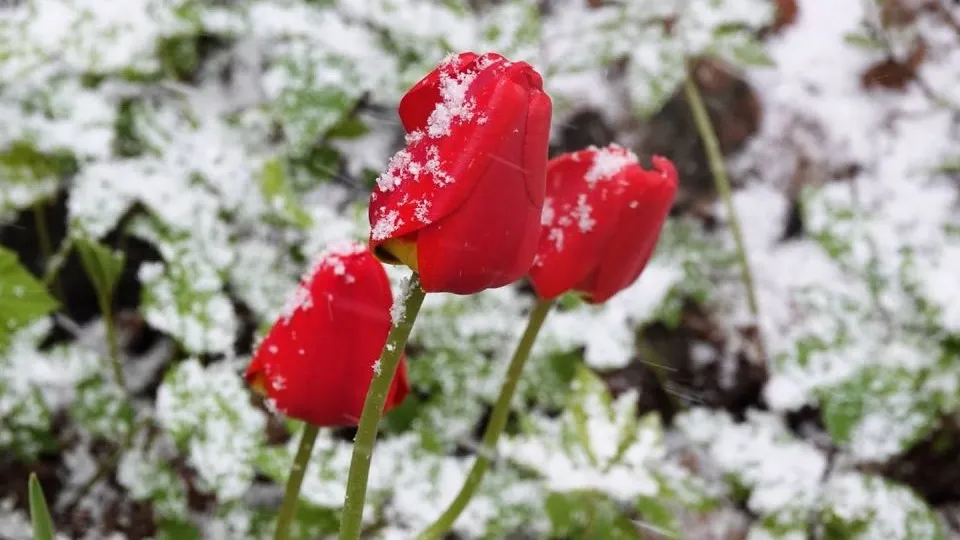 Фото: МедиаБанк Подмосковья/Дарья Леонова