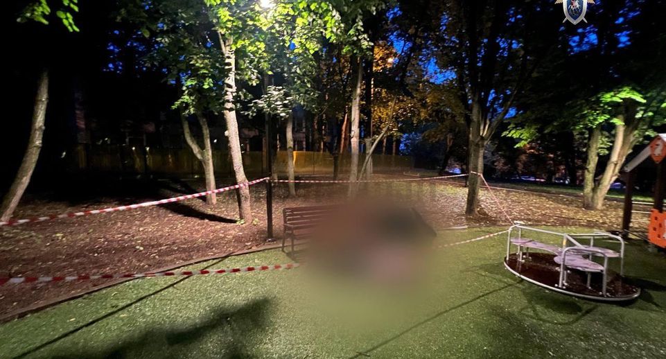 Неизвестный смертельно ранил мужчину на детской площадке на юго-западе Москвы