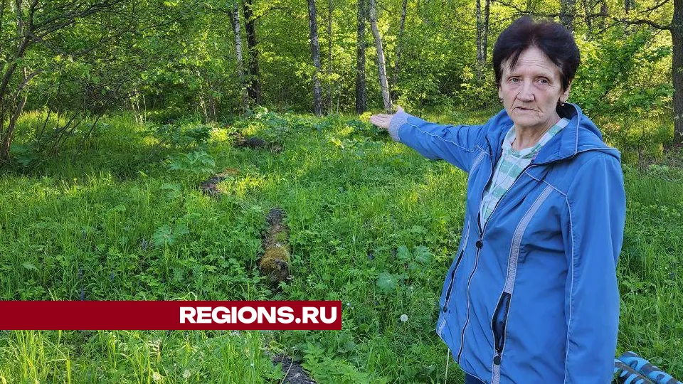 Фото: Елена Лабзина