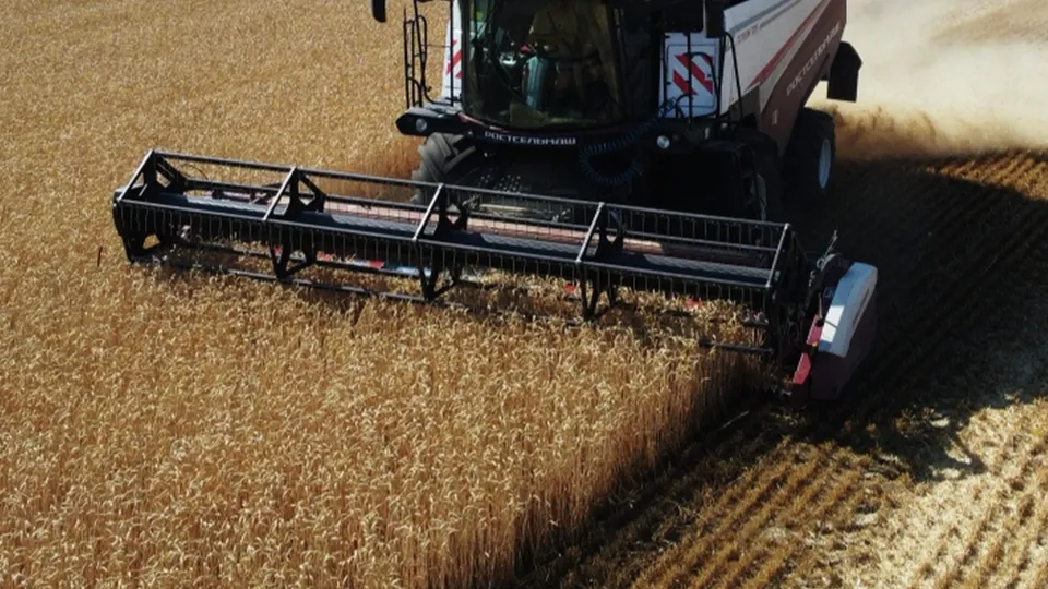 Фото: РИА Новости/Сергей Пивоваров