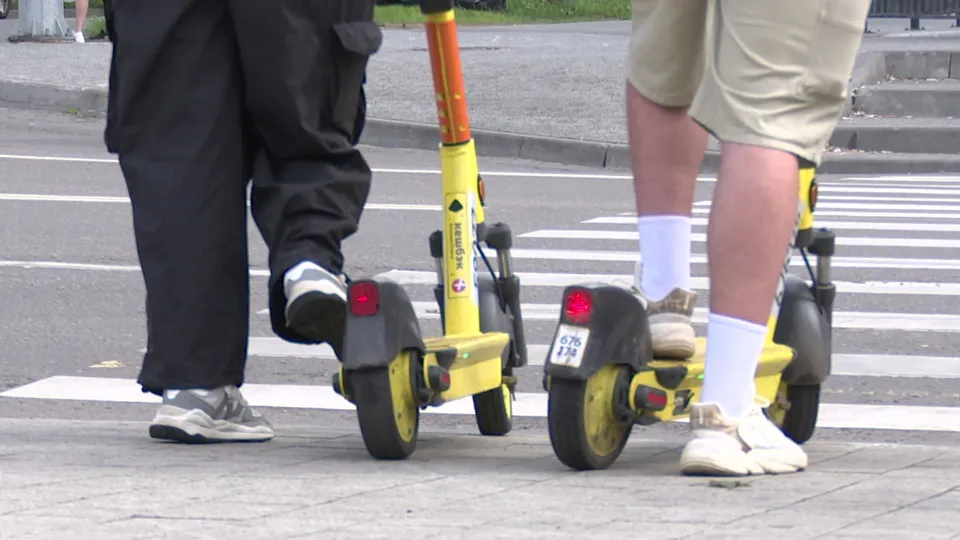 Фото: МедиаБанк Подмосковья/Ксения Казакова