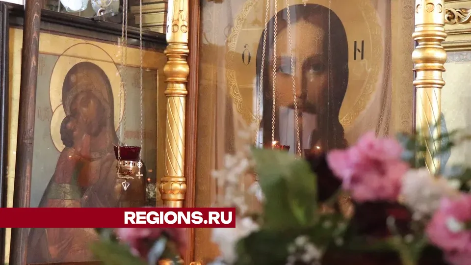 Фото: REGIONS/Василий Тремасов