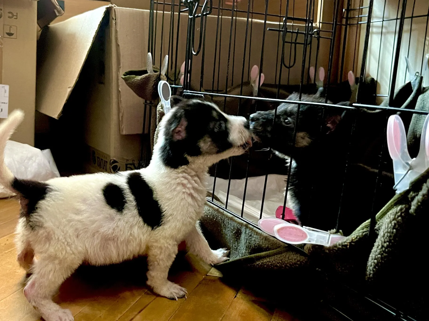 Фото: Анна Тюрюмина&nbsp;