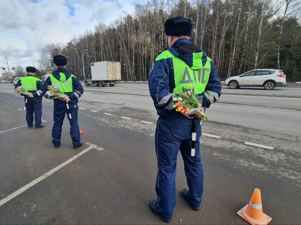 Фото: ОГИБДД УМВД Домодедово