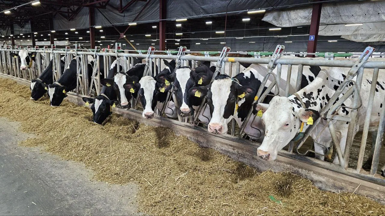 Пресс-служба администрации городского округа Коломна