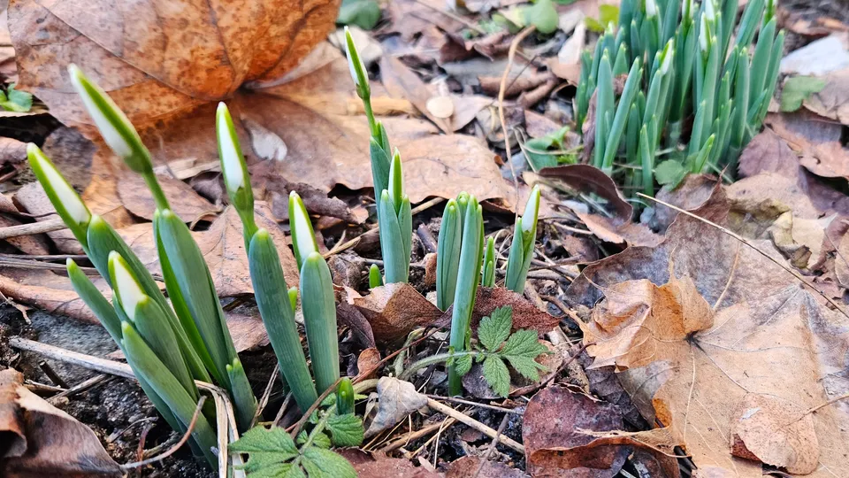 Фото: МедиаБанк Подмосковья/Ольга Вельшикаева