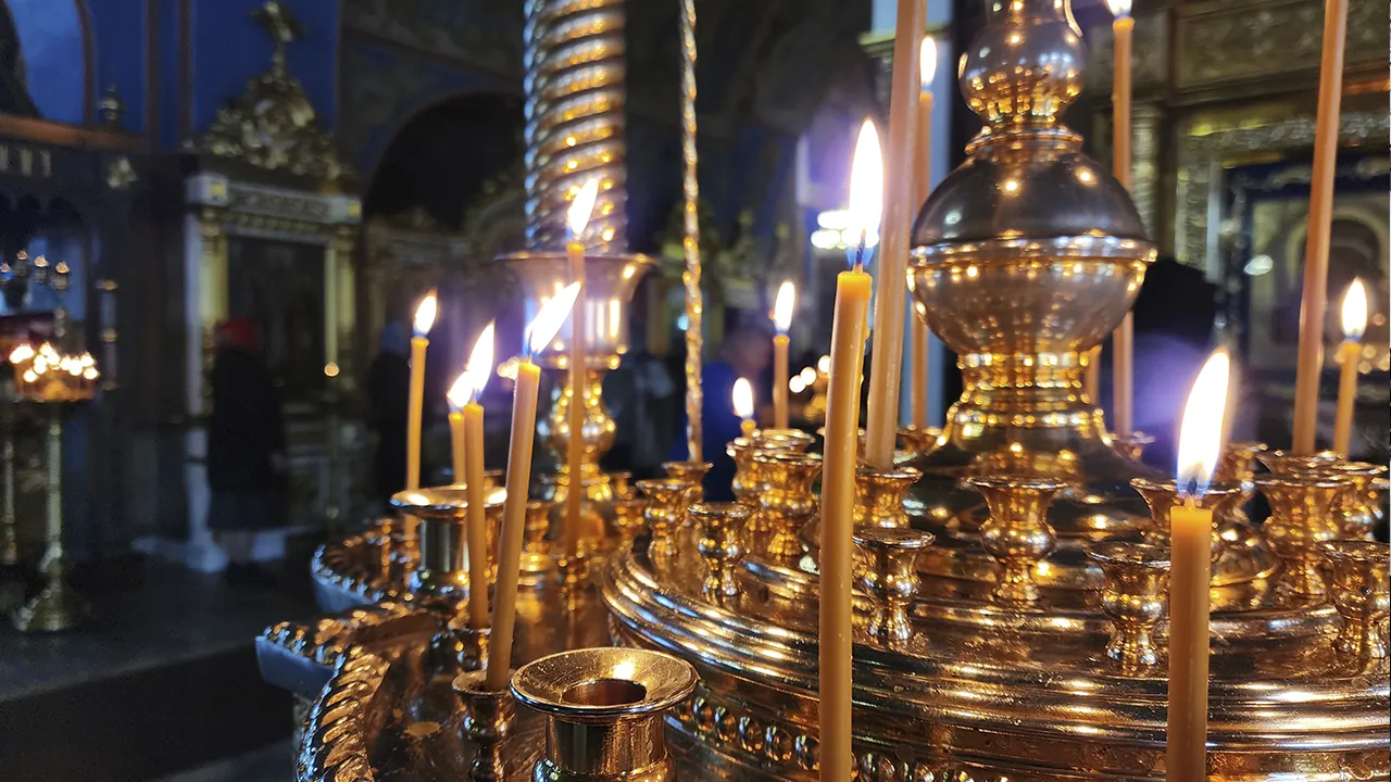 МедиаБанк Подмосковья/Ольга Аввакумова