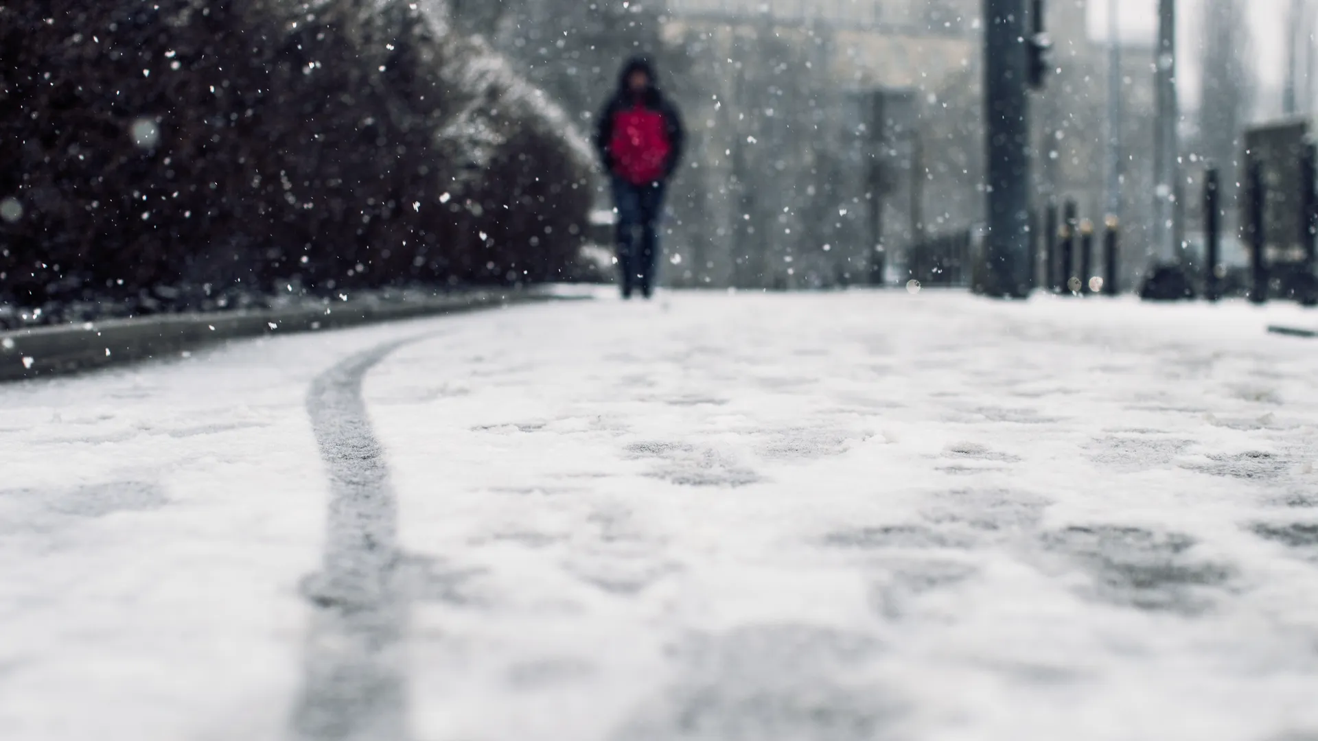 Фото: freepik.com