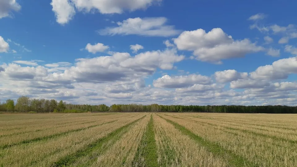 Фото: unsplash.com