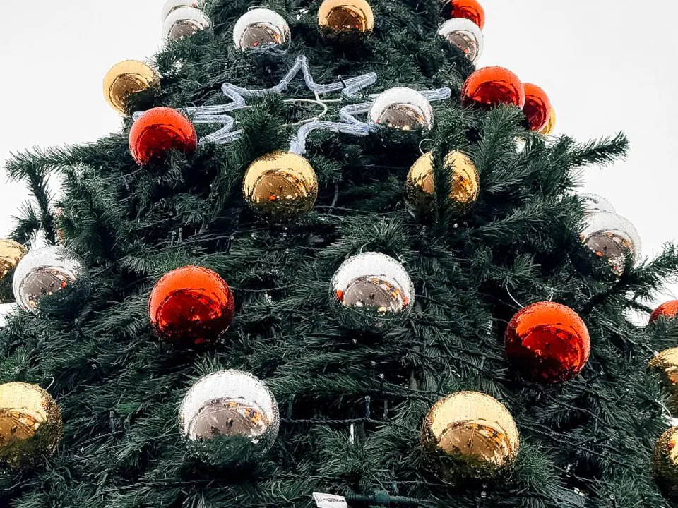 Фото: телеканал «Дубна»