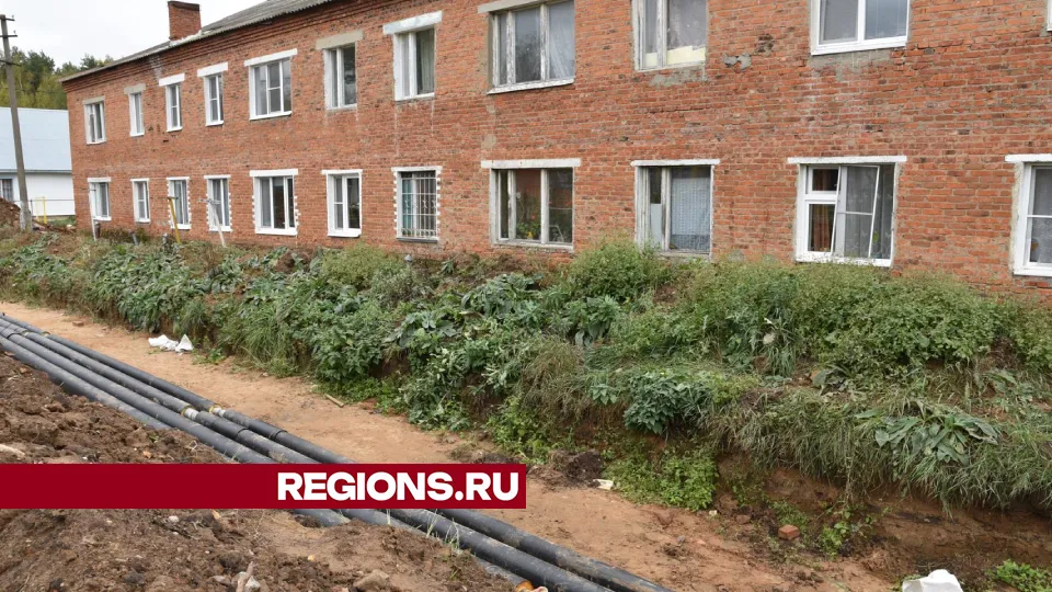 Фото: Владимир Останин