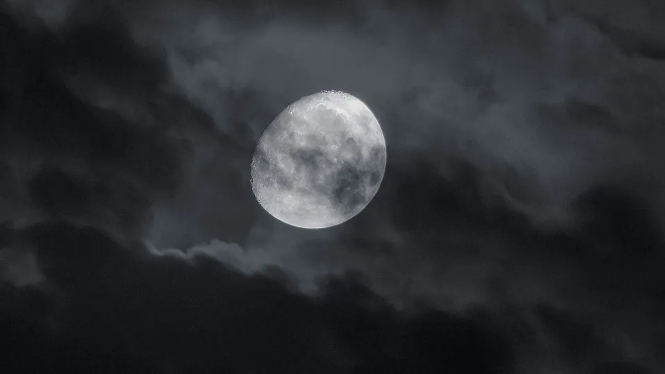 Фото: unsplash.com