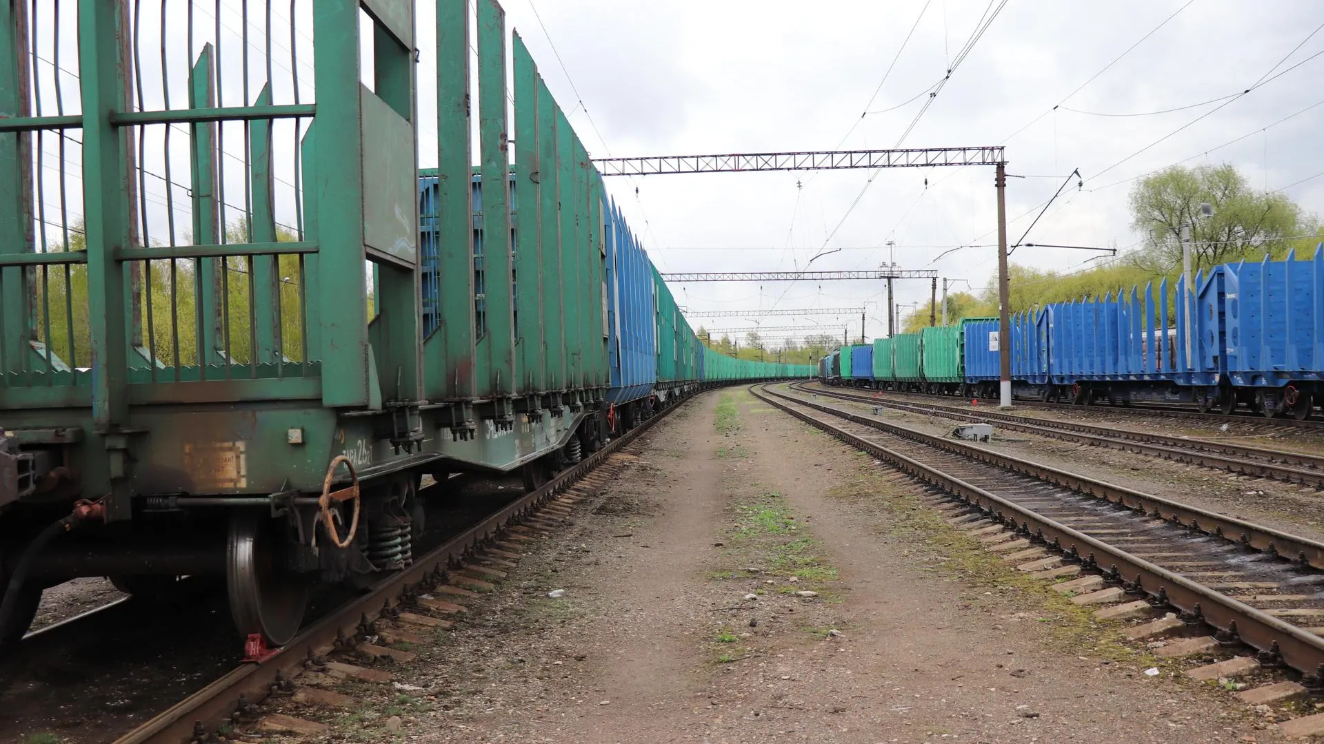 Фото: Василий Тремасов