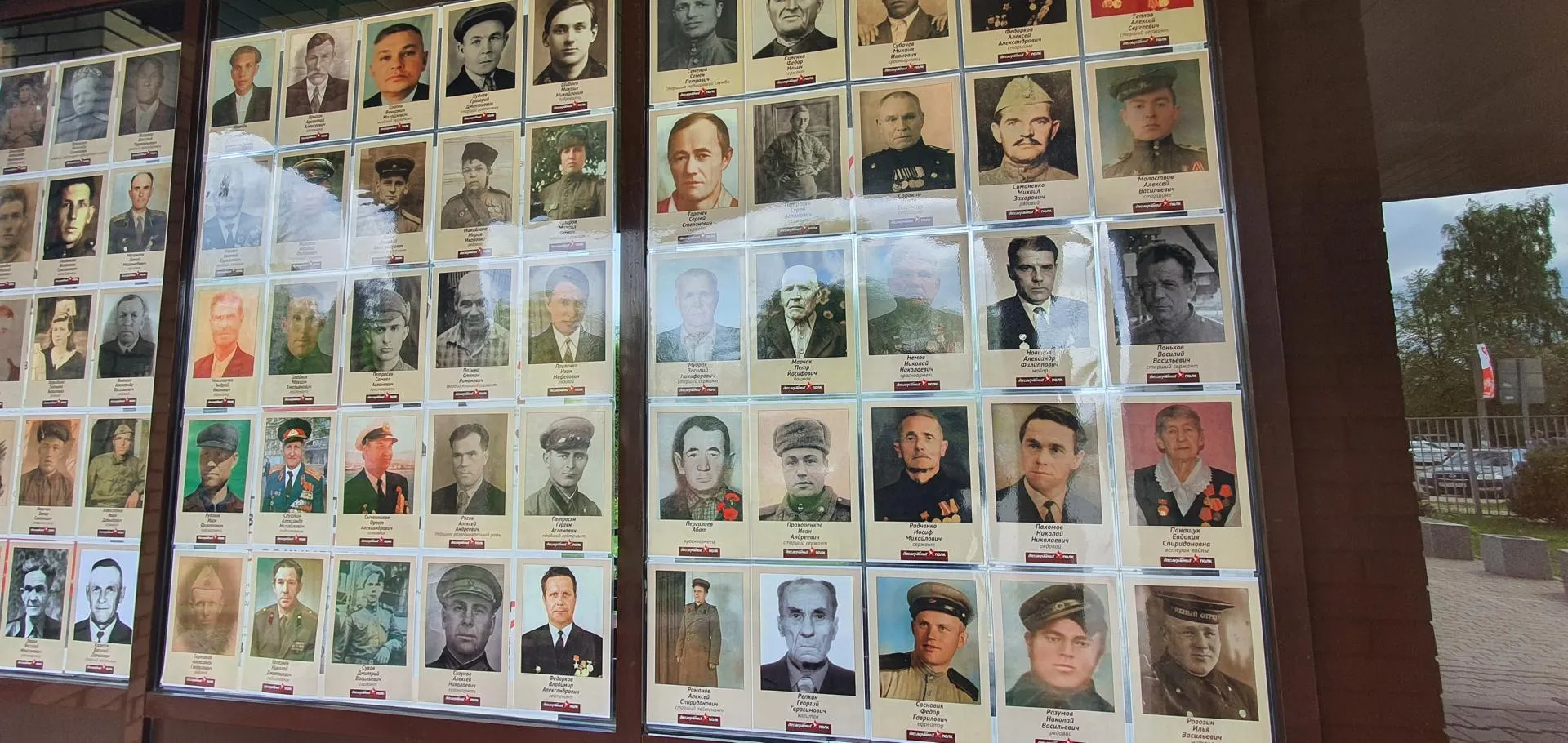 Фото: Н. Надточая