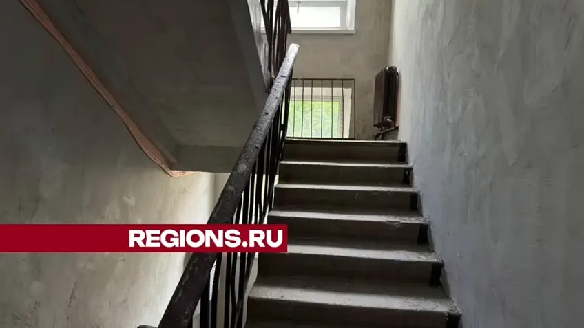 Фото: Ксения Афонина