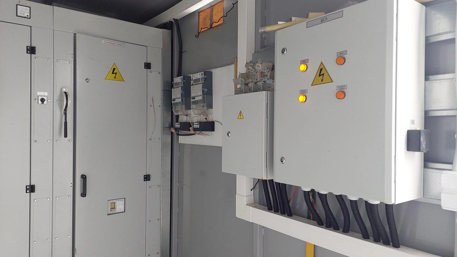 Фото: Светлана Плотникова