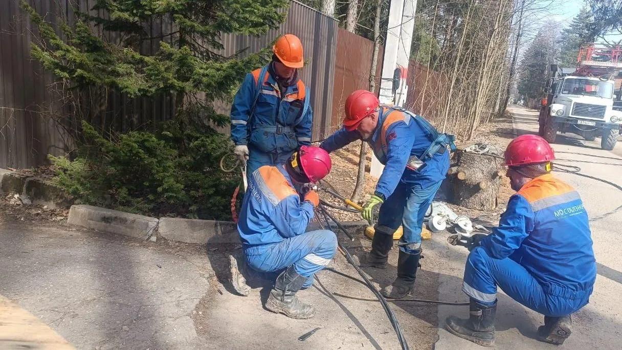 Фото: АО «Мособлэнерго»