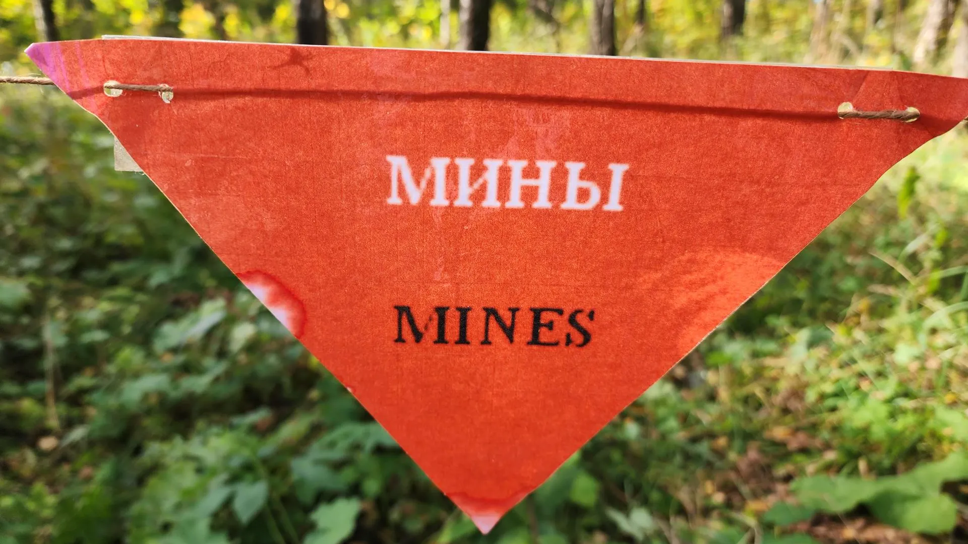 Фото: МедиаБанк Подмосковья/Евгения Герасимова