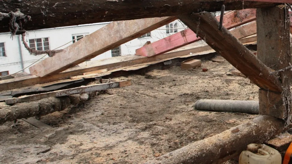 Фото: пресс-служба администрации г.о. Кашира