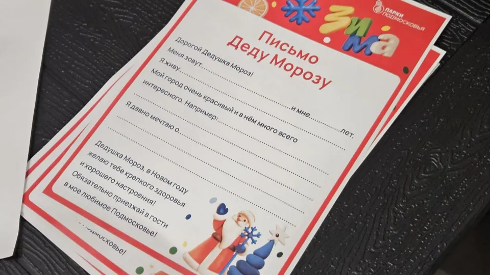 Фото: МедиаБанк Подмосковья/Ольга Вельшикаева