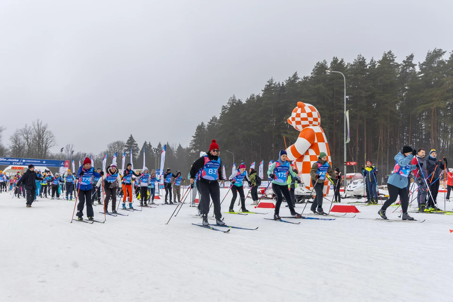 Соцбюро «Добрые проекты»