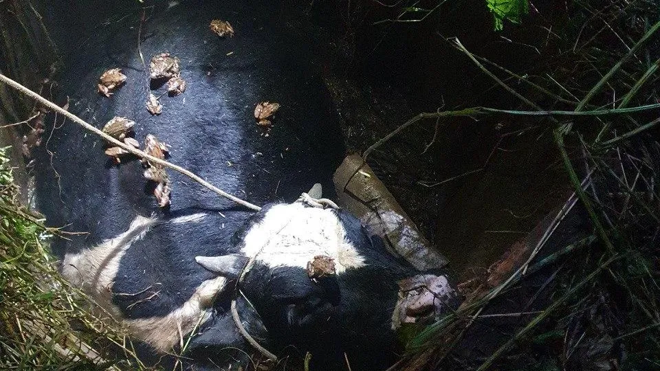 ГКУ МО "Мособлпожспас"