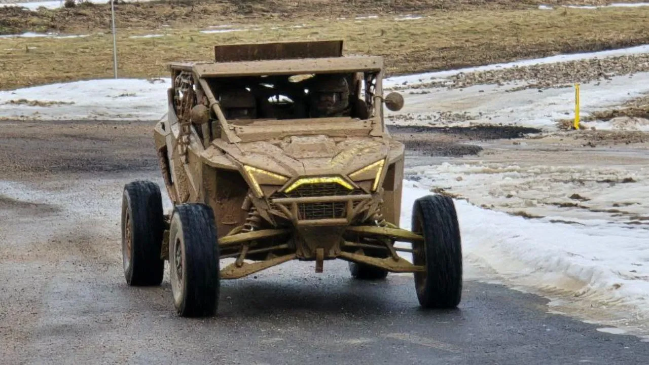 REGIONS/Яна Шаливская