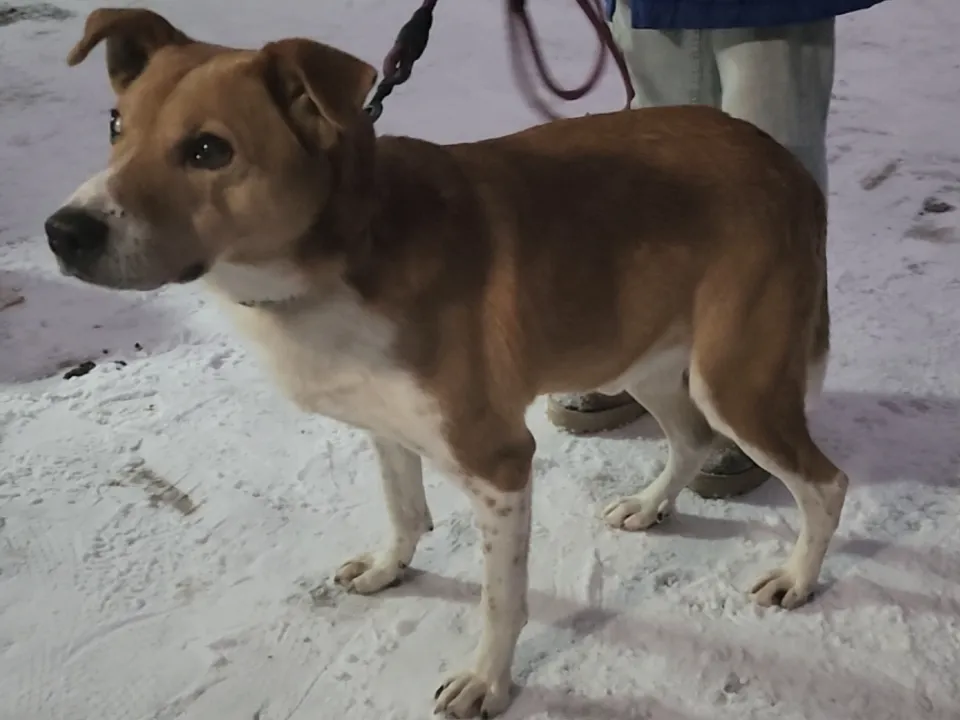 Фото: МедиаБанк Подмосковья/Иван Чижов