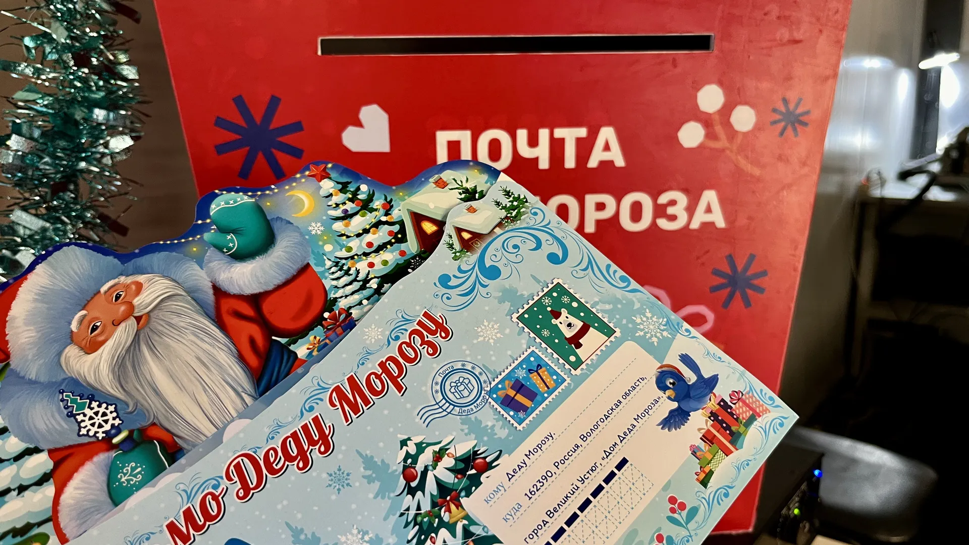 Фото: МедиаБанк Подмосковья/Анна Тюрюмина